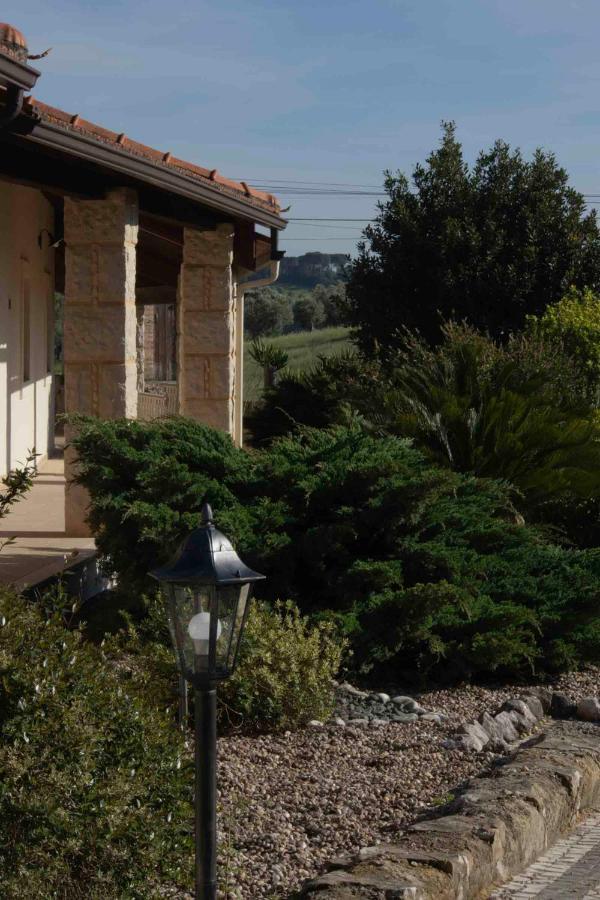 알카네나 O Pombal B&B 외부 사진